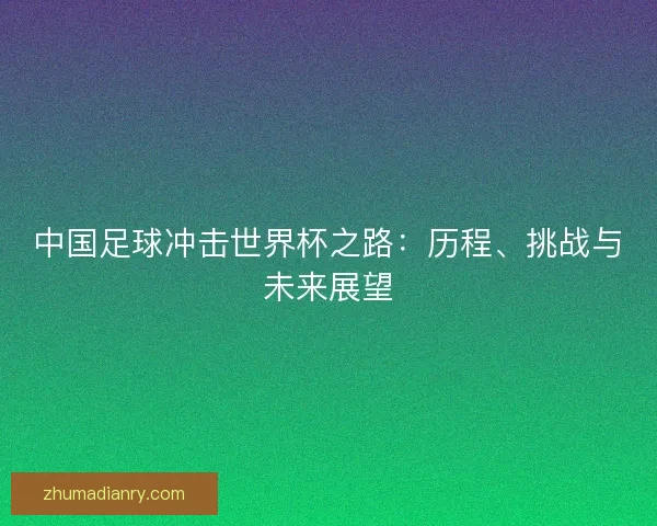 中国足球冲击世界杯之路：历程、挑战与未来展望