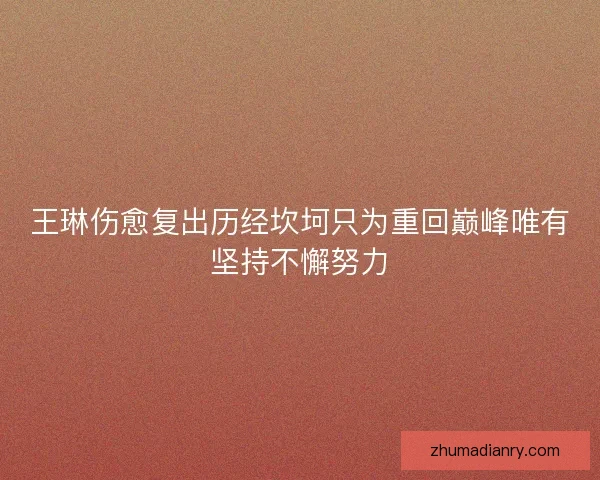 王琳伤愈复出历经坎坷只为重回巅峰唯有坚持不懈努力