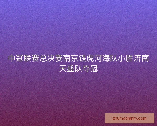 中冠联赛总决赛南京铁虎河海队小胜济南天盛队夺冠